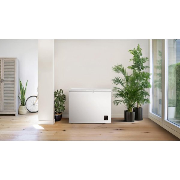 CH FREEZ ZS25082 FH25EAW GOR