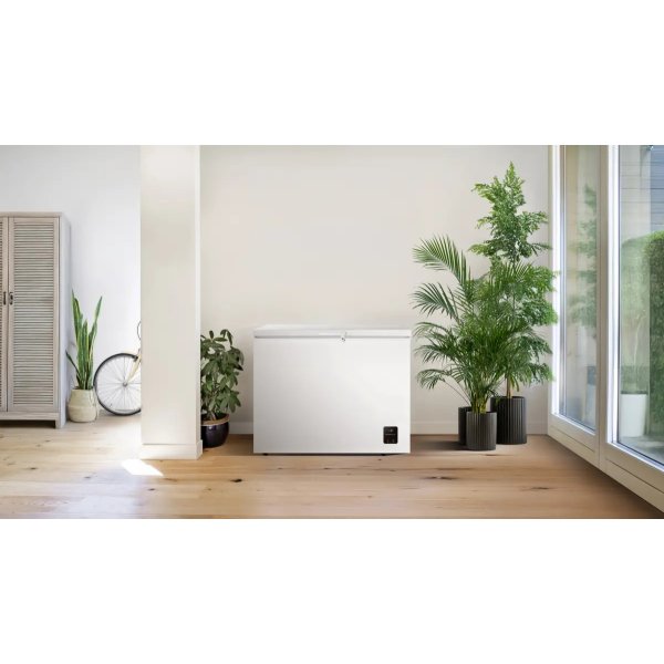 CH FREEZ ZS25082 FH25EAW GOR