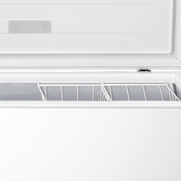CH FREEZ  ZS30082 FH30DAW GOR